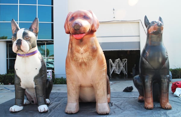 inflatable dogs in a row