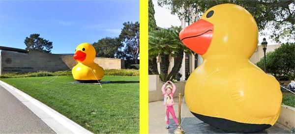 inflatable-duck-10-ft.jpg