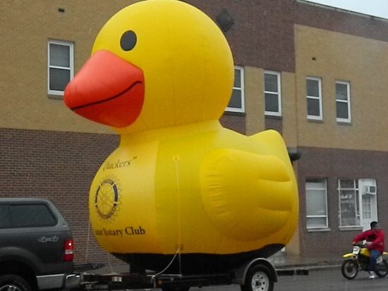 quackers-inflatable-duck.jpg