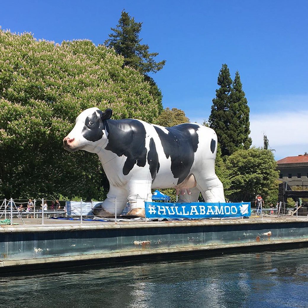 inflatable cow float