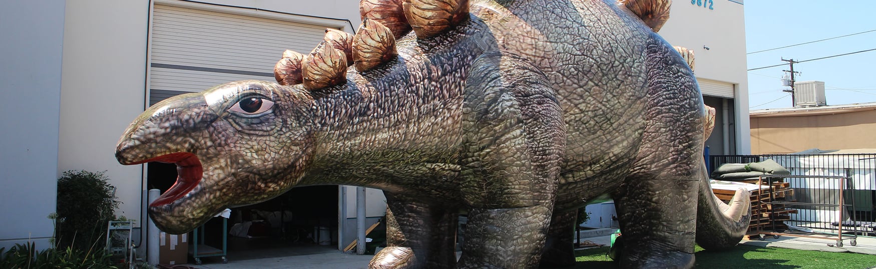 inflatable-stegosaurus-looking-sharp