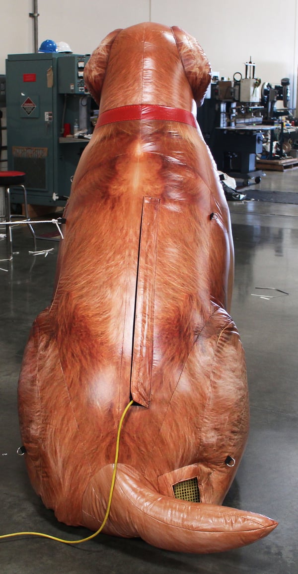 inflatable-labrador
