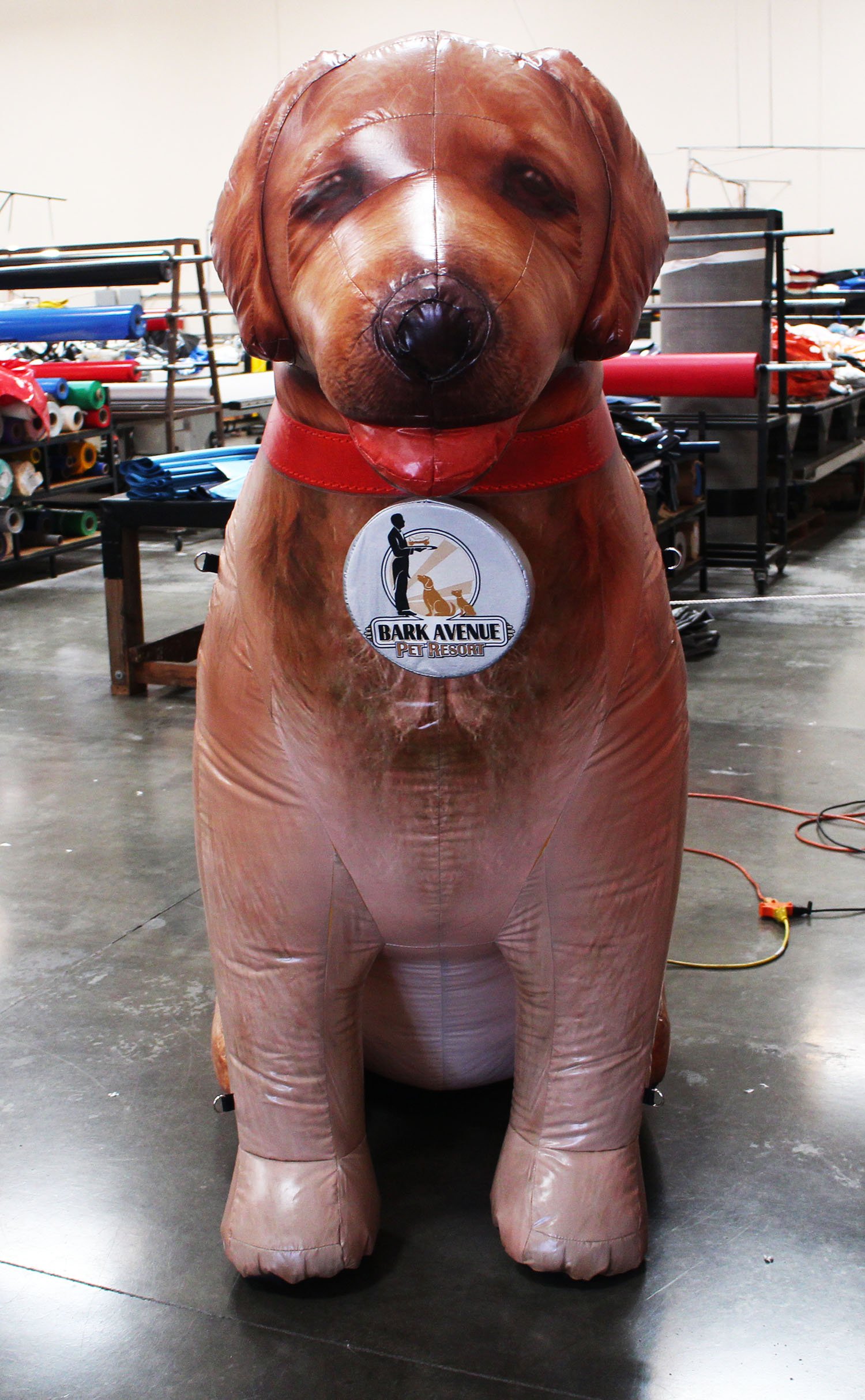 inflatable dog ball