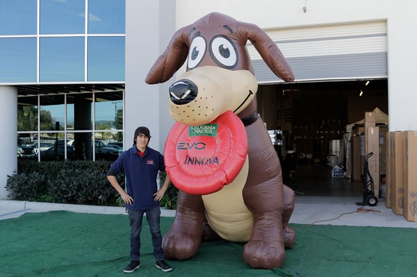 california-natural-dog-customized