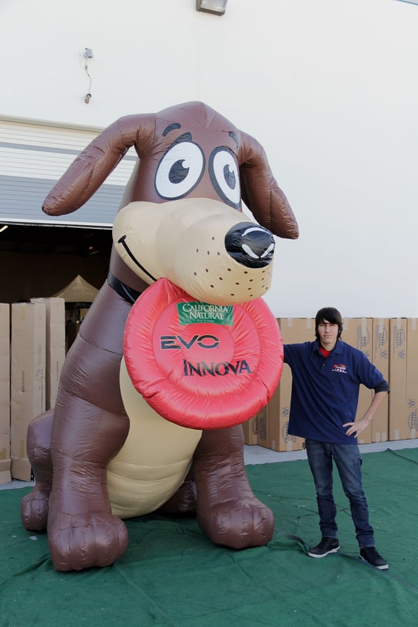 california-natural-dog-evo