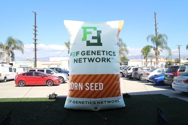 corn-seed-bag-inflatable