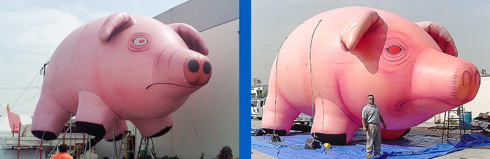 large inflatable pig