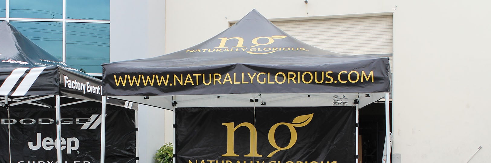 naturally-glorious-header.jpg