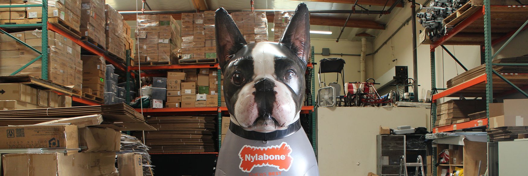 nylabone-dog-inflatable