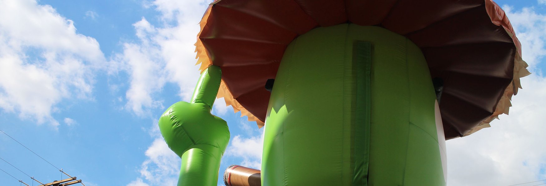 texas-roadhouse-lizard-inflatable