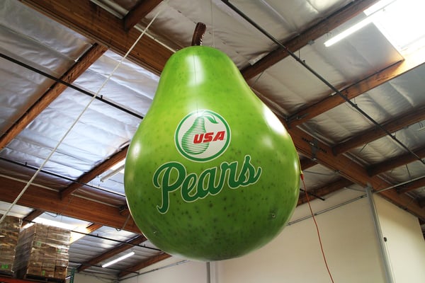 usa-pears-fruit-replica