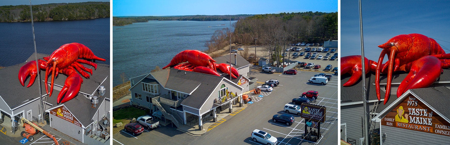 Lobster-custom-inflatable-seafood.jpg