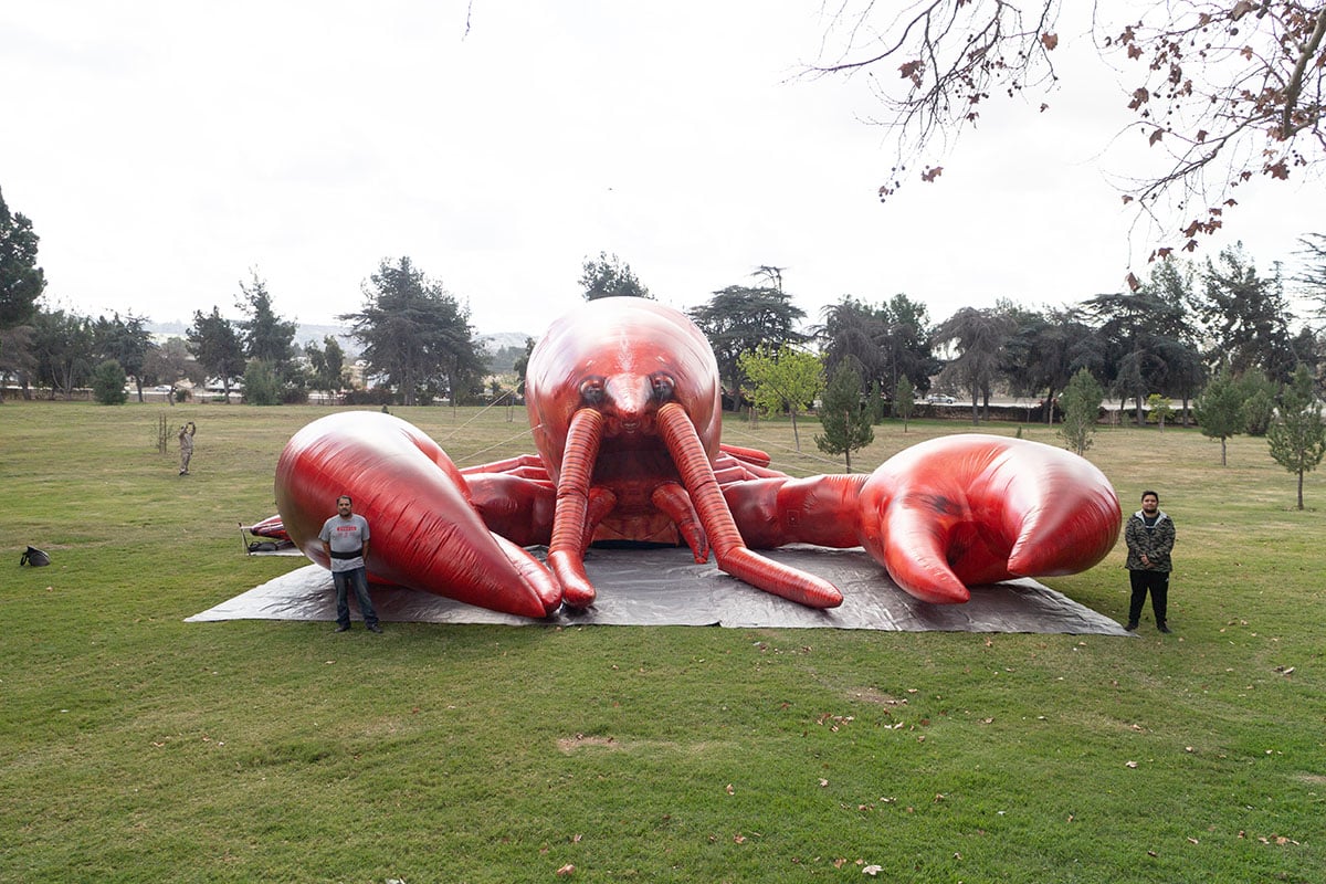 custom-inflatable-losbter